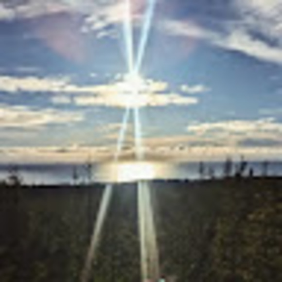 Meet your Posher, David - Picture 1 of 1